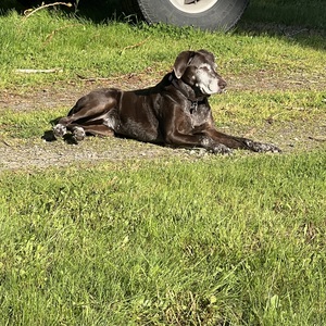 Fundraising Page: Jennifer Alonzo